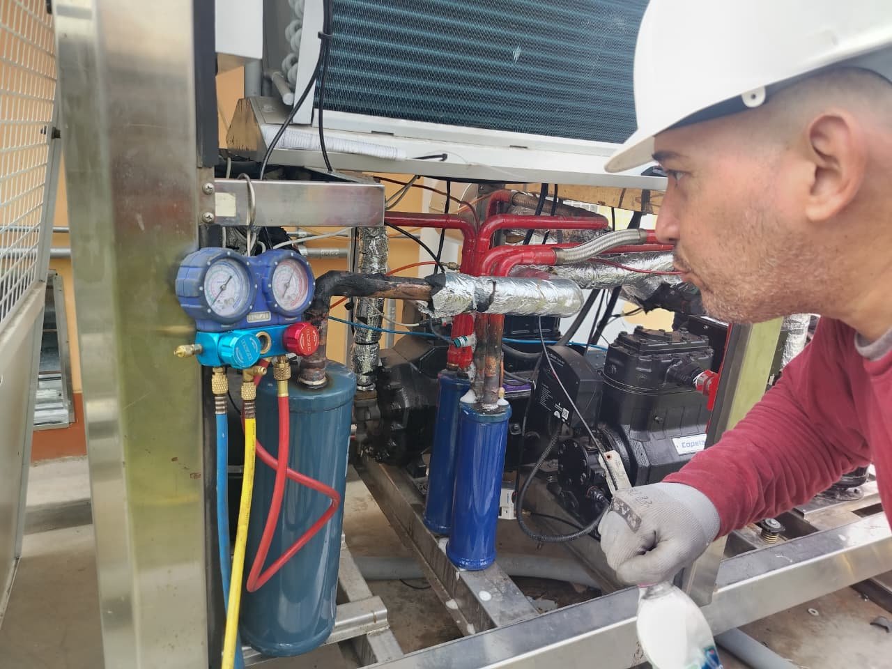 whatsapp image 2026 01 20 at 9.50.01 am (1)